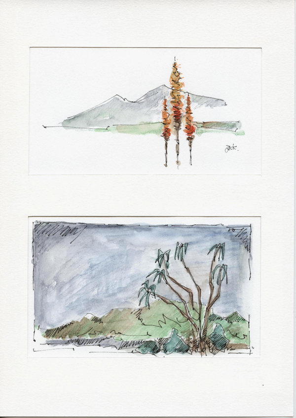 Botanische tuin Kaapstad (Z.A.)