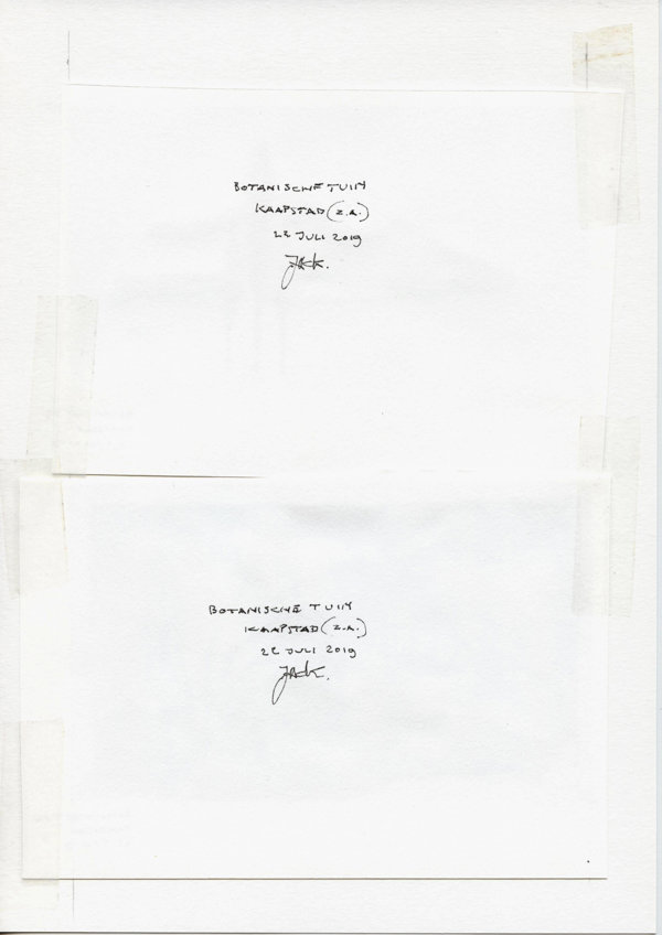 Botanische tuin Kaapstad (Z.A.) (Backside)