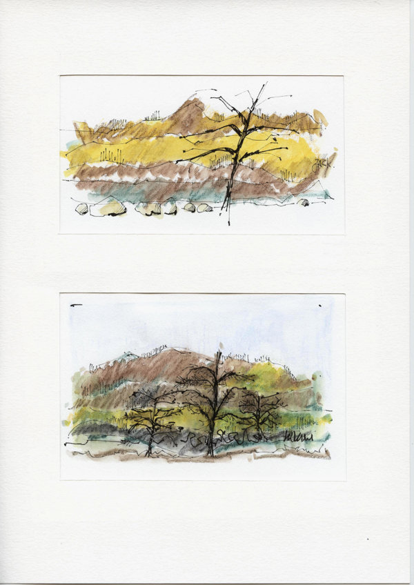 Wildpark Hluhluwe (Zwasiland)