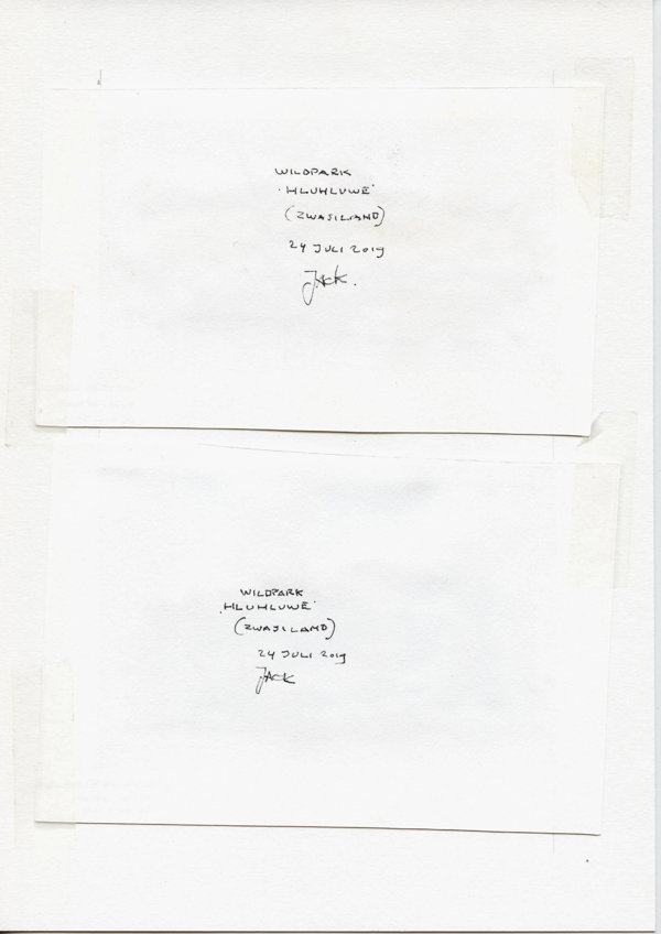 Wildpark Hluhluwe (Zwasiland) (Backside)