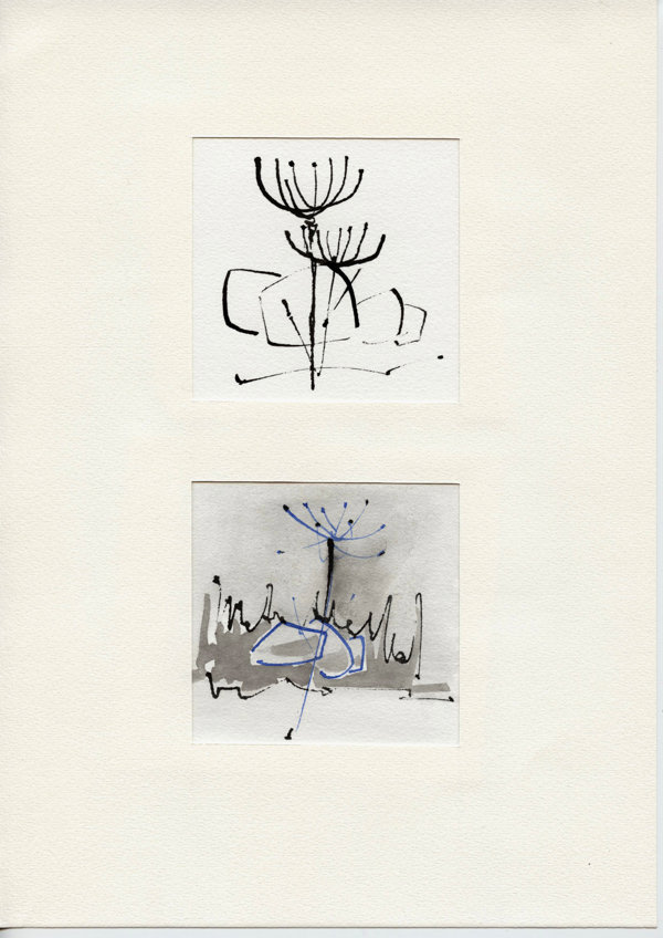 Plant Røldal Hordaland N.