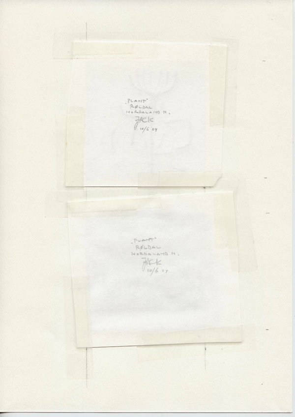 Plant Røldal Hordaland N. (Backside)