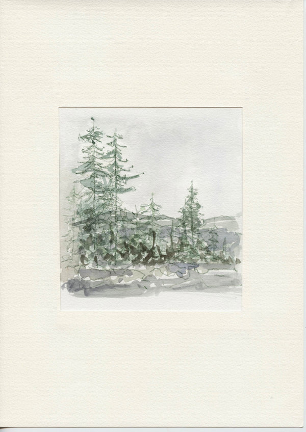 Botnedalen Telemark N.