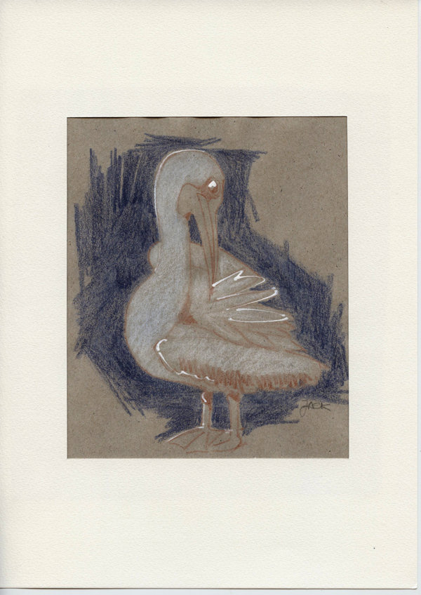 Pelikaan (Burgers-Arnhem)